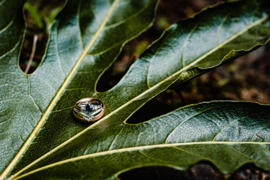 An engagement ring with wedding rings. The engagement ring is made of sapphires and diamonds,  made By Angeline, a UK jeweller. The rings sit on a giant dark green monstera leaf.